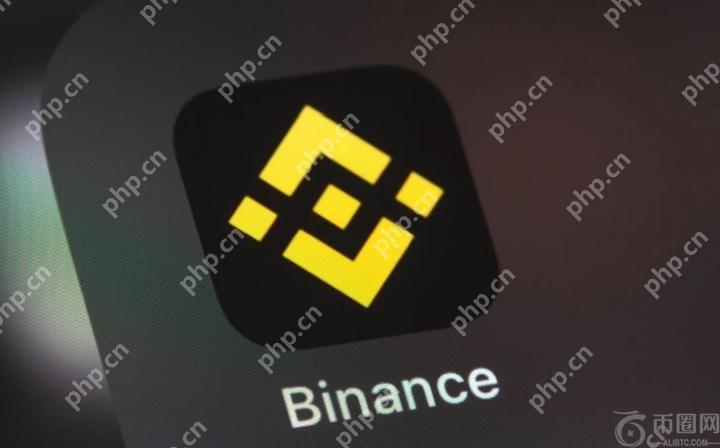 如何在 Android 设备上安装币安应用程序（2025 更新） - 币圈导航