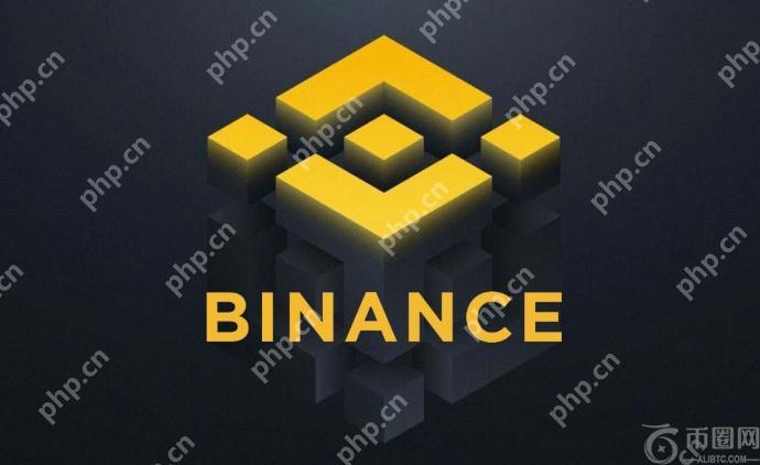 安卓手机如何安装Binance?安卓安装Binance的详细教程 - 币圈导航